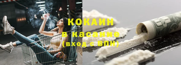 твердый Абаза