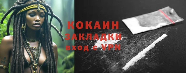 твердый Абаза