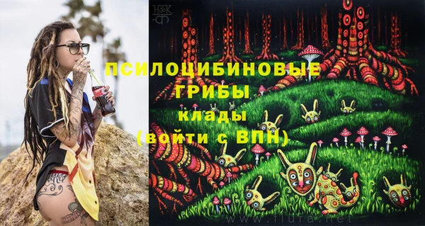 дурь Абдулино