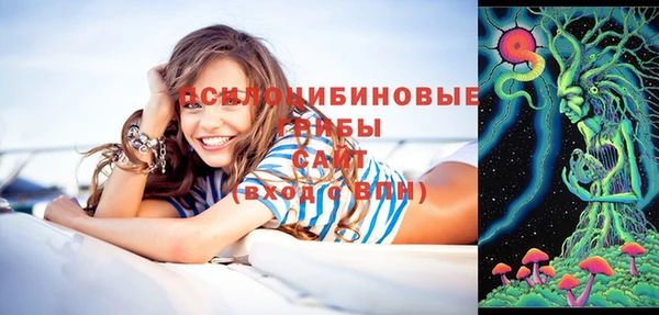 сатива Алексин